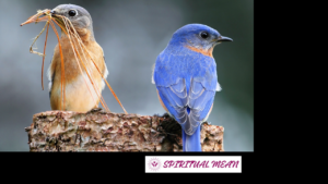 7 Spiritual Meanings of a Bird in Your House