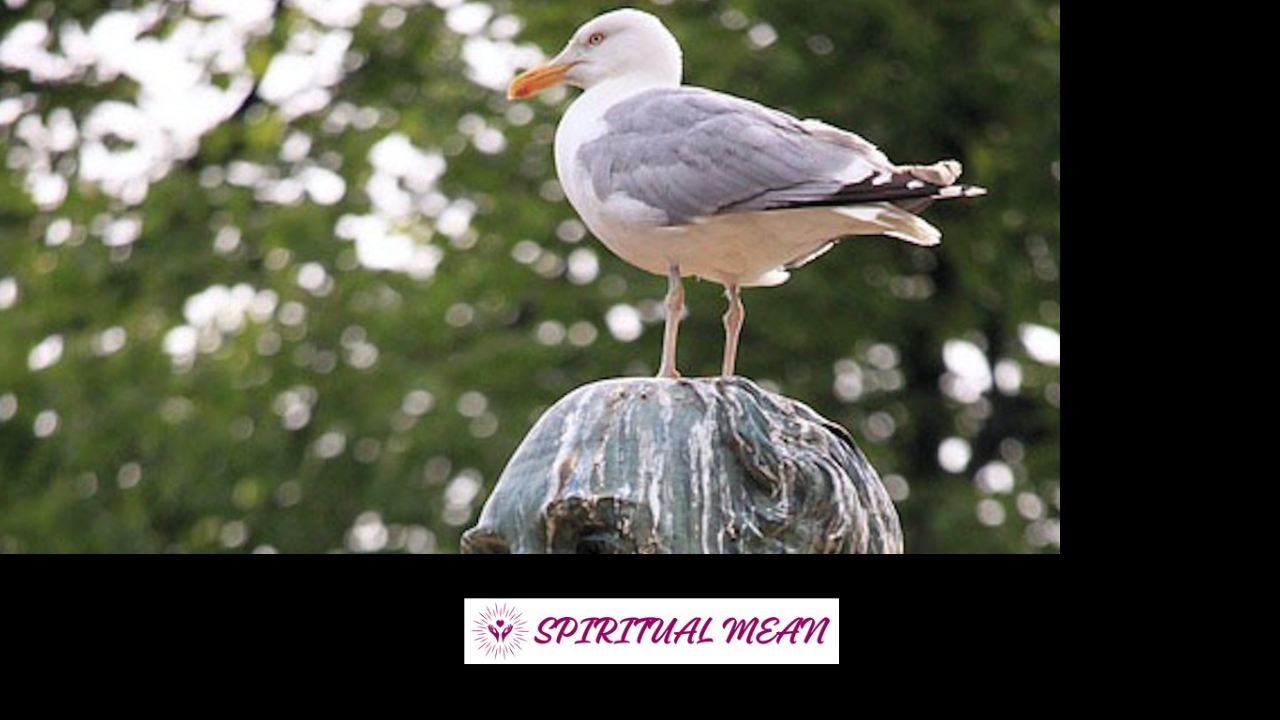 dead bird spiritual meaning