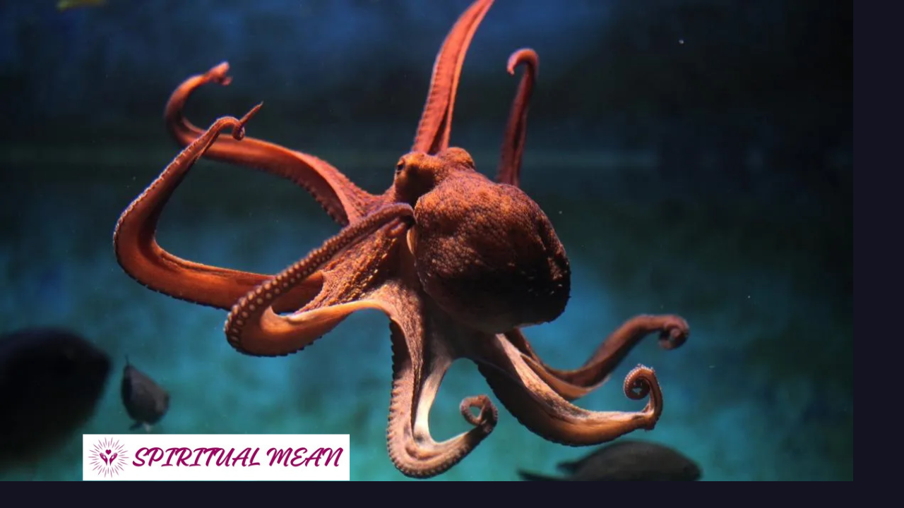 octopus spirit animal