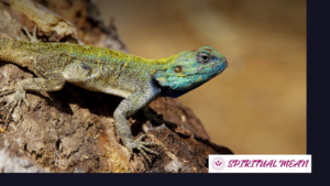 lizard crossing sign